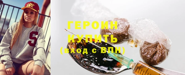соль ск Дмитриев