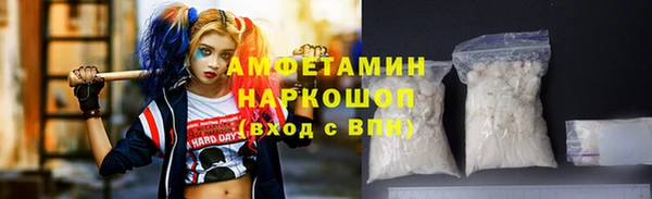 соль ск Дмитриев