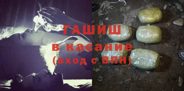 соль ск Дмитриев